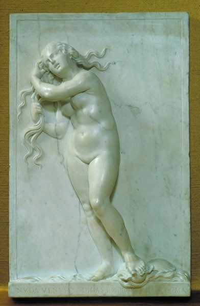 Venus Anadyomène